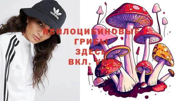 дживик Алексеевка
