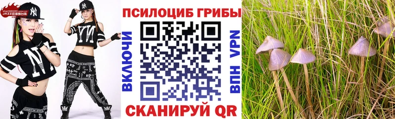 где найти   это состав  Галлюциногенные грибы ЛСД  Сясьстрой 